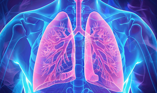 人体器官图片摄影照片_肺部呼吸内科