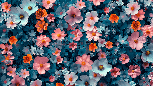 彩色唯美花朵花瓣平面铺满的背景