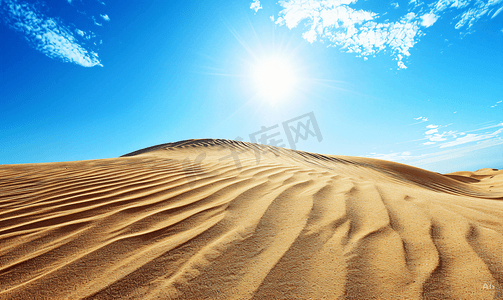 小报素材摄影照片_沙漠中的生命