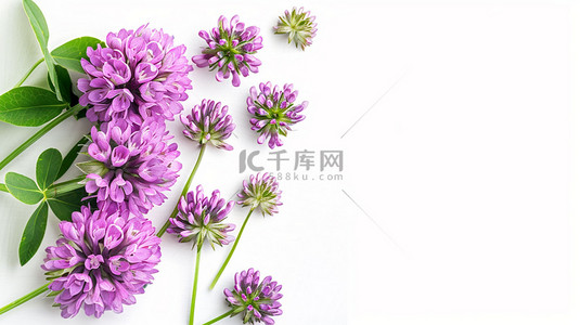 紫色创意花朵背景图片_紫色花朵简约合成创意素材背景