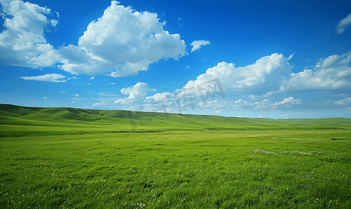 呼伦贝尔大草原风景