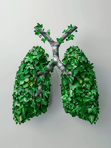绿色家园呼吸内科