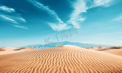 荒凉的背景摄影照片_沙漠中的生命