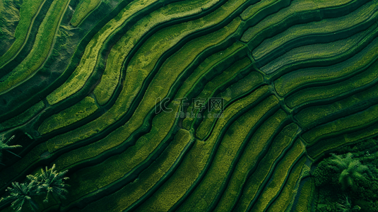 天气背景图片_绿色朦胧渐变田野里田地的背景