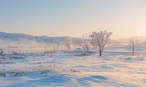 东北雪摄影照片_东北亚布力清晨的雪景