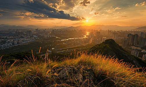 城市夕阳梧桐山