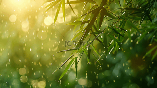 干旱大地下雨背景图片_绿色雨季竹叶背景