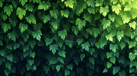 绿色简约墙面上树叶叶片纹理风格的背景