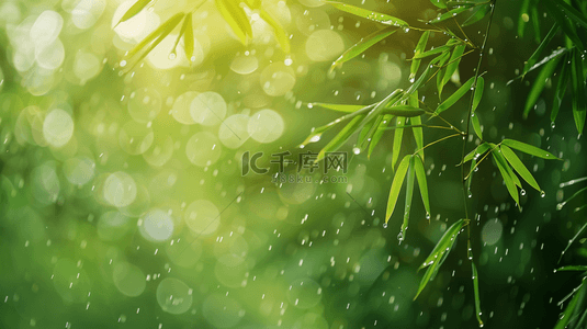 绿色雨季竹叶背景