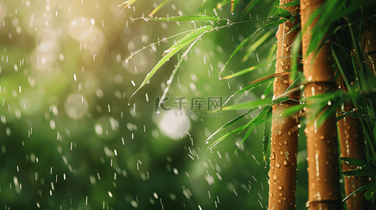 雨季背景图片_绿色雨季竹叶背景