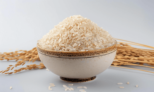东北珍珠大米饭新米五常大米