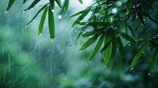 绿色雨季竹叶背景
