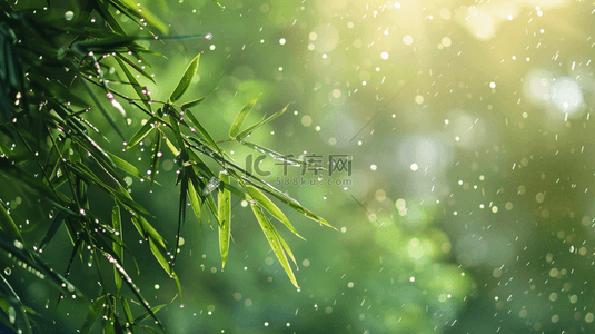 雨水收集背景图片_绿色雨季竹叶背景