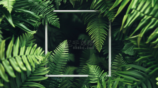 边框纹理背景图片_绿色植物叶子装饰背景