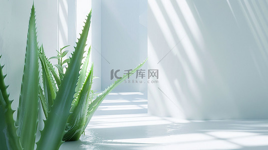 ai素材植物背景图片_芦荟植物房间合成创意素材背景