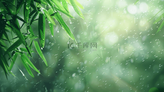 绿色雨季竹叶背景