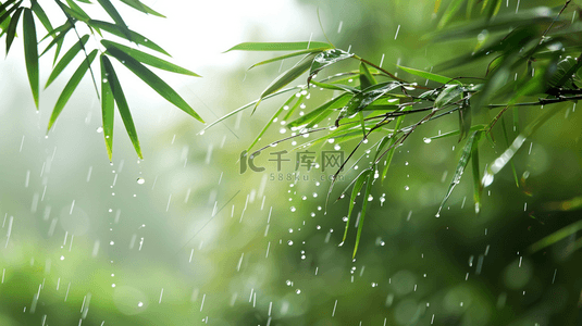 干旱大地下雨背景图片_绿色雨季竹叶背景