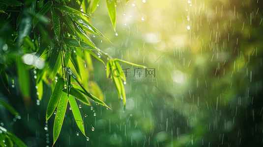 雨季背景图片_绿色雨季竹叶背景