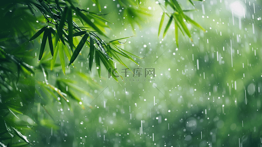雨季背景图片_绿色雨季竹叶背景