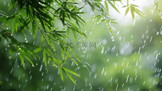 雨水收集背景图片_绿色雨季竹叶背景