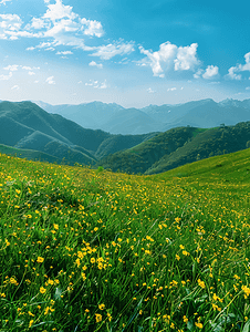 黄绿色摄影照片_武功山绝望坡上草甸全景