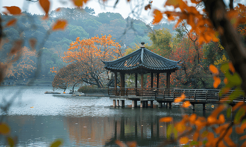 东平森林公园