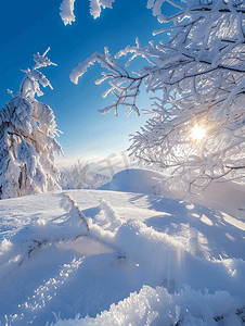 冰天雪地雾凇风光