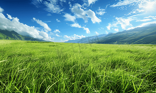 高山草原唯美