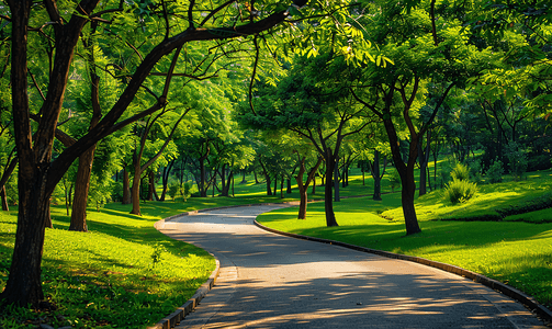 公园小路绿化道