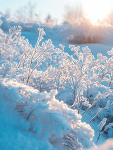 冰天雪地图片摄影照片_冰天雪地雾凇风光