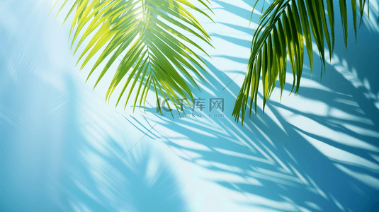 夏季绿色棕榈叶装饰背景