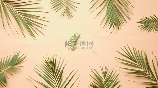 棕榈叶装饰简约边框背景