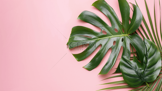 粉色夏季小清新装饰棕榈叶简约背景