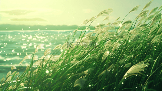 河边石子背景图片_简约户外河边绿色芦苇花的背景