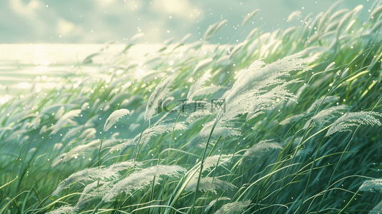 河水简约背景图片_简约户外河边绿色芦苇花的背景