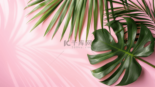 棕榈叶简约背景图片_粉色夏季小清新装饰棕榈叶简约背景