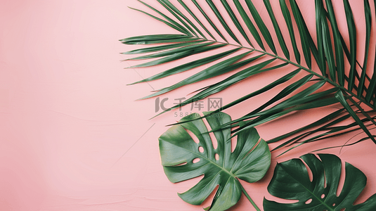 棕榈叶简约背景图片_粉色夏季小清新装饰棕榈叶简约背景
