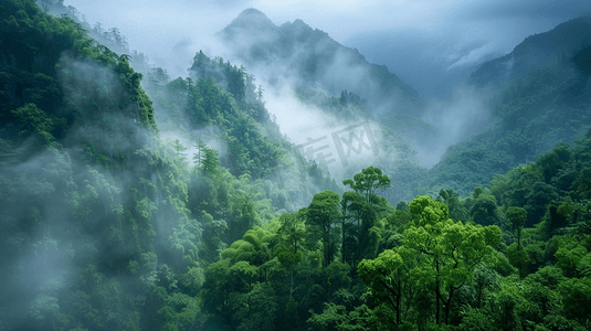 山脉瀑布景色山区树木植物云雾自然风景的摄影实拍图