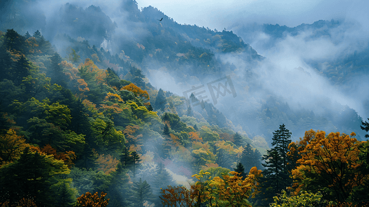 山脉瀑布景色景区山区树木自然风景的摄影实拍图