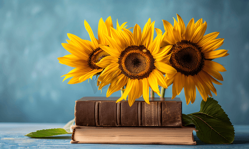 放在书上的向日葵鲜花摄影图