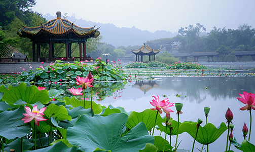 夏至中国风荷花摄影照片_湖上的荷花和凉亭摄影图