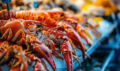 夏季海鲜市场摄影图