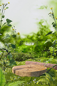 场景绿色背景图片_夏季植物草坪绿色3D立体展台仿摄影背景