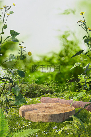 夏天背景图片_夏季植物草坪绿色3D立体展台仿摄影背景