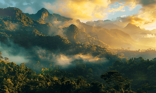 一看天空  薄雾  山观在黎明前的清晨  仰望山顶。清晨日出在高山上.