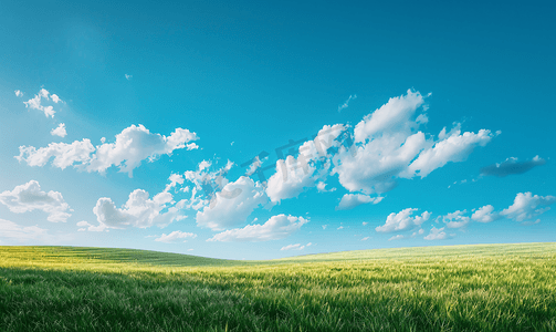 自然风景正午蓝天白云天空仰拍摄影图