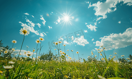 天气炎热摄影照片_太阳蓝天白云自然风景摄影图