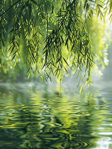 清明节绿色摄影照片_水面上的柳枝夏天柳叶河边垂柳摄影图