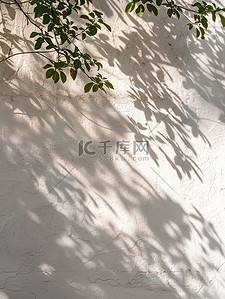 阳光背景素材背景图片_白墙上的日影阳光背景素材