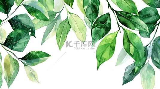 中国风横向边框背景图片_绿叶手绘的水彩边框框架背景素材